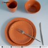 Embossed Color Glazed Dinnerware Set TRSC2504028 (1)