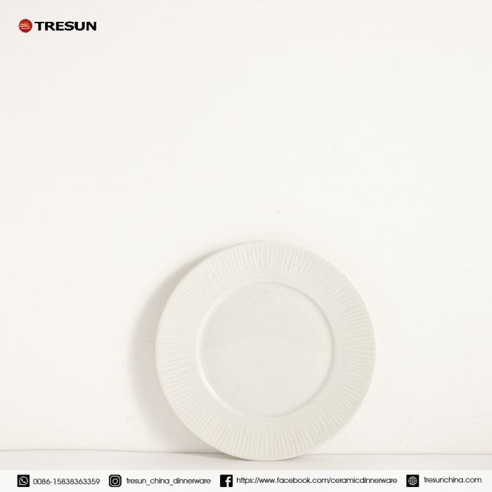 embossed porcelain dinnerware set TRPC2504003 (1)