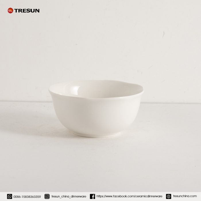 embossed porcelain dinnerware set TRPC2504005 (6)