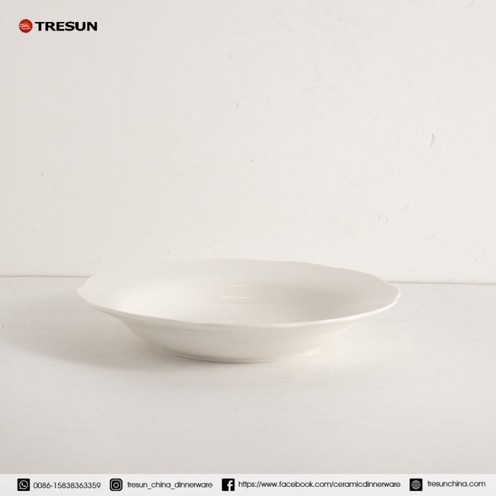 embossed porcelain dinnerware set TRPC2504005 (6)