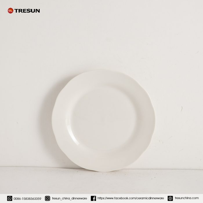 embossed porcelain dinnerware set TRPC2504005 (6)