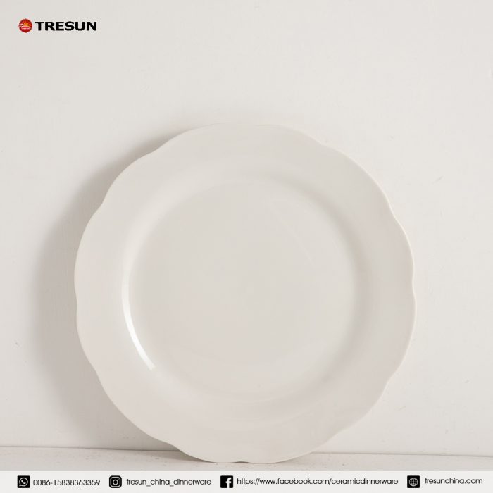 embossed porcelain dinnerware set TRPC2504005 (6)