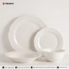 embossed porcelain dinnerware set TRPC2504005 (6)