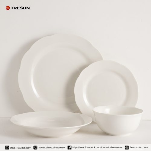 embossed porcelain dinnerware set TRPC2504005 (6)