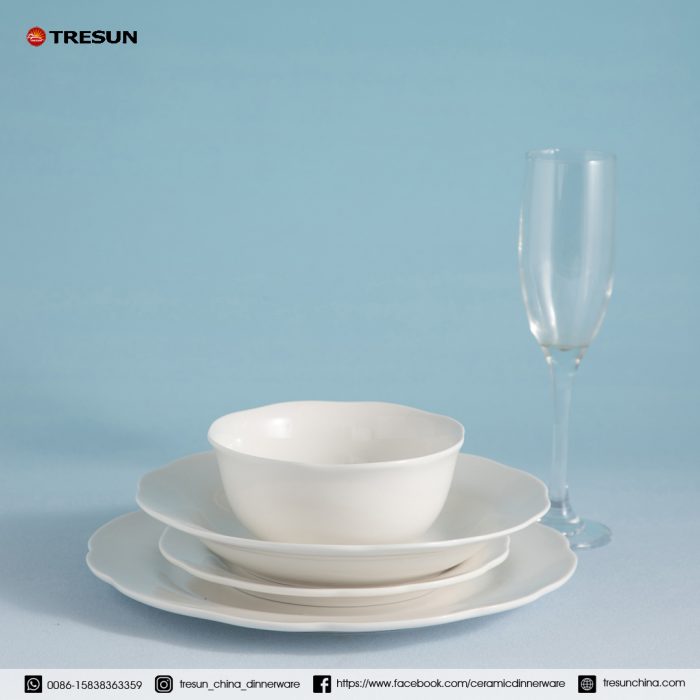 embossed porcelain dinnerware set TRPC2504005 (6)