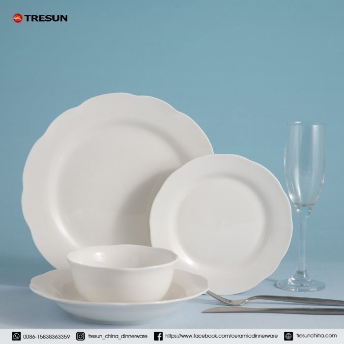 embossed porcelain dinnerware set TRPC2504005 (6)
