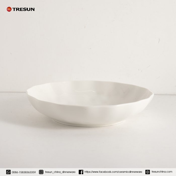 embossed porcelain dinnerware set TRPC2504006 (4)