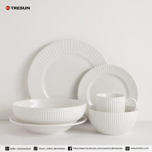 embossed porcelain dinnerware set TRPC2504007 (1)
