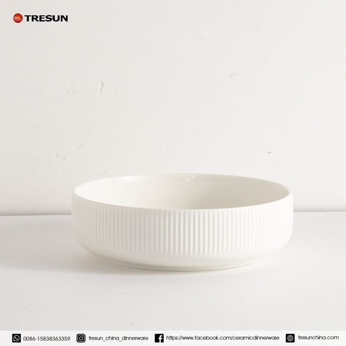 embossed porcelain dinnerware set TRPC2504008 (1)