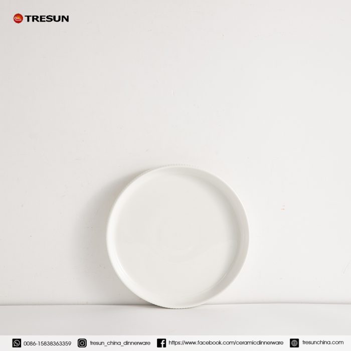 embossed porcelain dinnerware set TRPC2504008 (1)